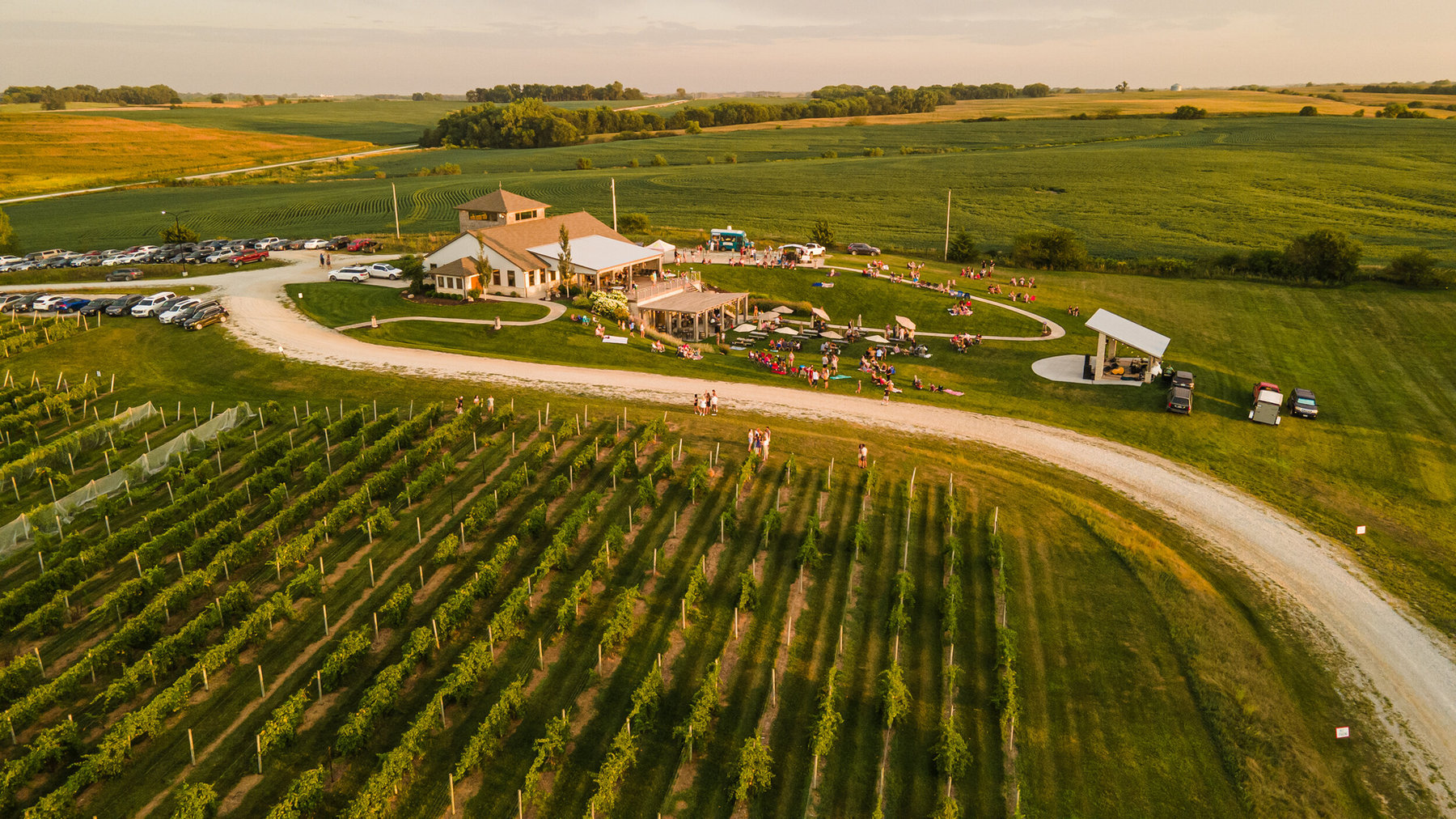An aerial view of Glacial Till Vineyard at golden hour